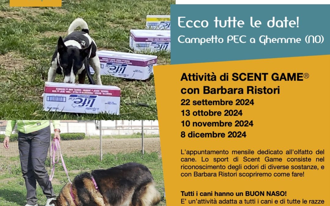 Scent Game (attività di naso per il cane) a Ghemme (Novara) – Piemonte