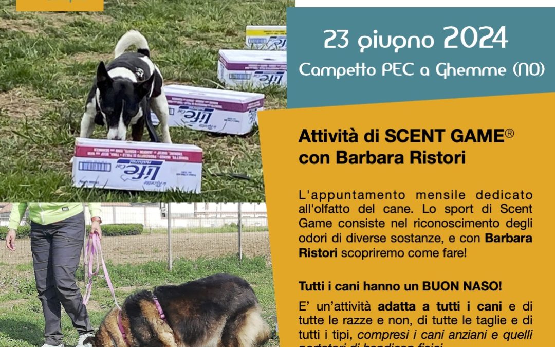 Scent Game appuntamento di giugno 2024