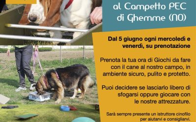 Parco Giochi con il cane Ghemme (Novara)
