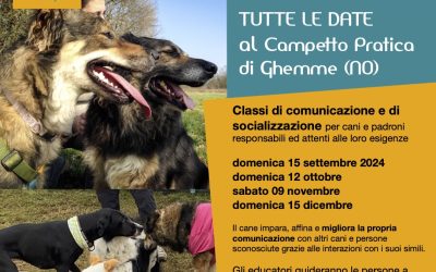 Classi Socializzazione Cani Ghemme / Novara