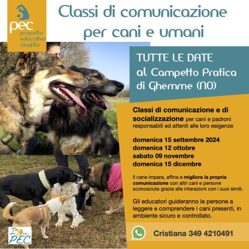 Classi comunicazione cane 2024