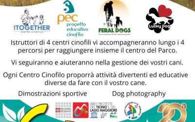 6 in Baraggia con il Cane – Riserva Naturale delle Baragge – Ghemme / Romagnano Sesia