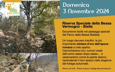 Trekking con il cane in Piemonte, Bessa (Biella) – Passeggiata Educativa Cinofila di novembre