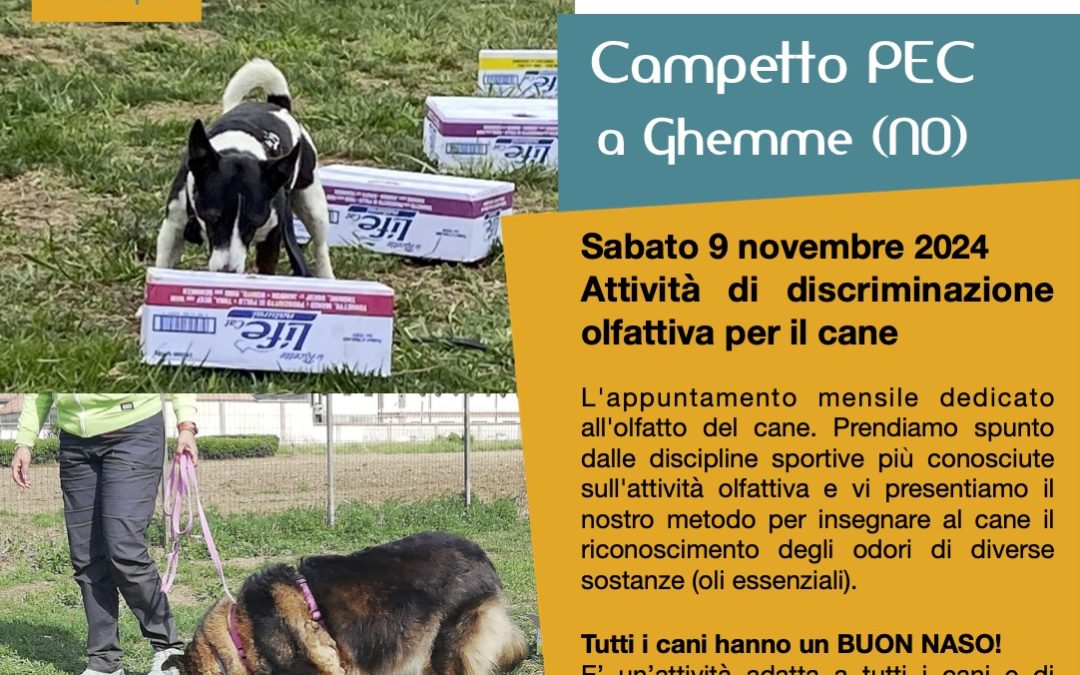 Giochi di Naso, attività olfattive per il cane