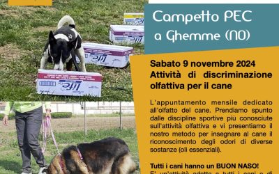 Giochi di Naso, attività olfattive per il cane