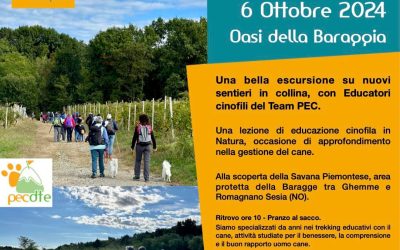 Trekking con il cane in Baraggia, Colline Novaresi – Passeggiata Educativa Cinofila di ottobre