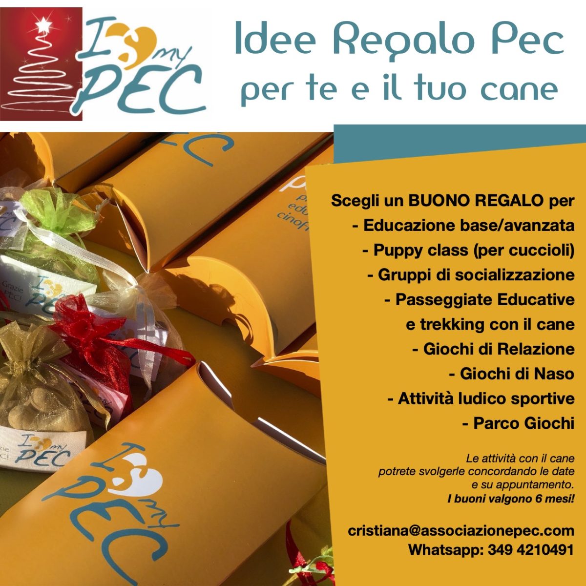 Buoni regalo Natale per cane - cinofili