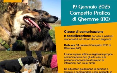 Classi di Comunicazione per Cani – Appuntamento 19 Gennaio 2025