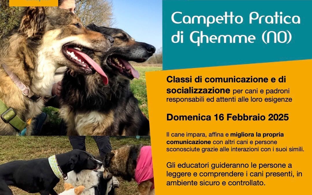 Le prossime Classi di Comunicazione per Cani