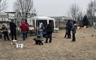 Open Day del Campo PEC