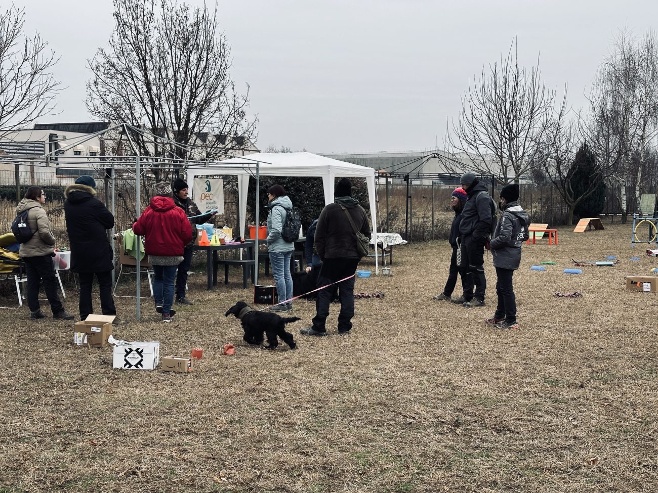 Campo cinofilo Ghemme (Novara) giornata aperta 2025