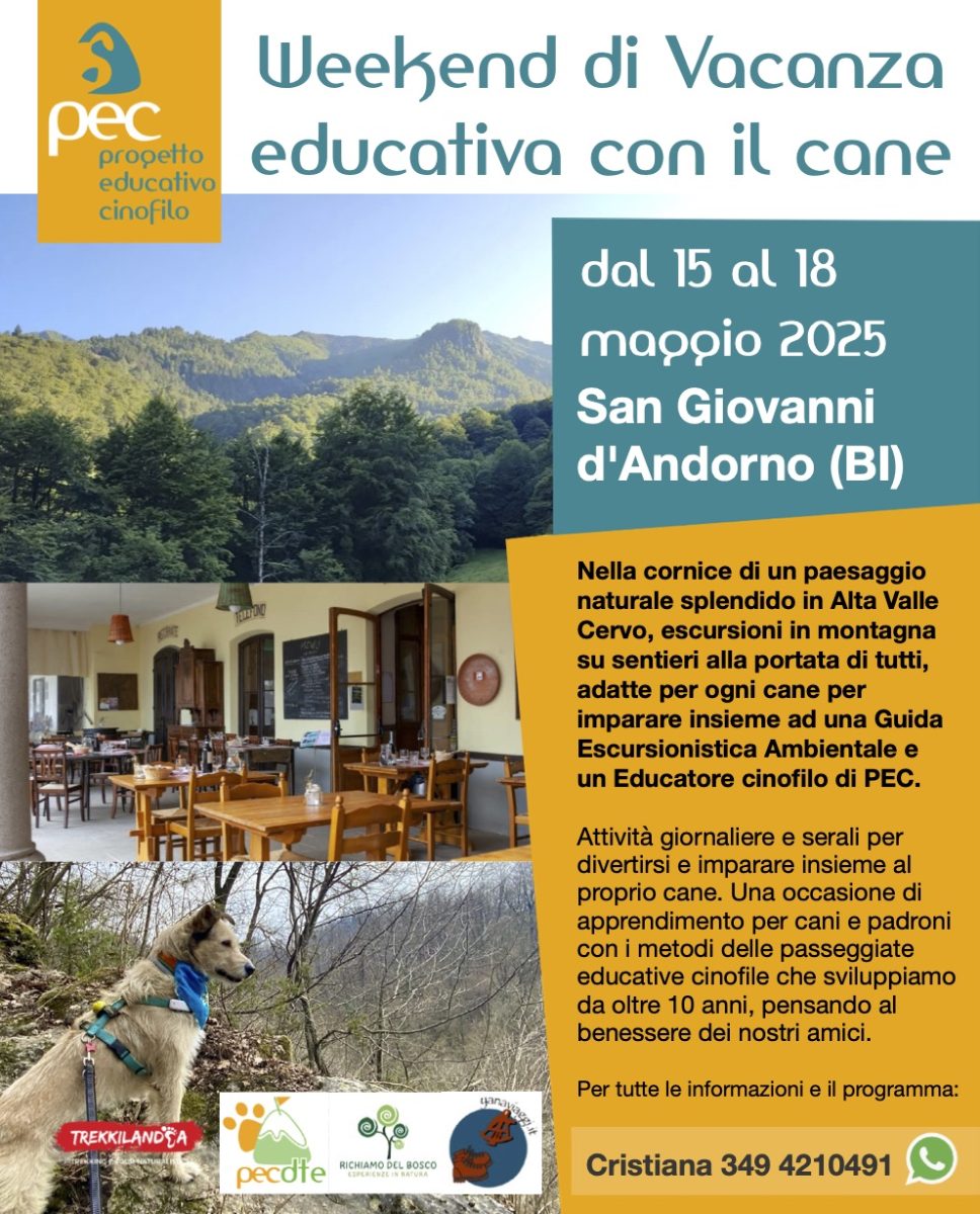 Vacanza cinofila con il cane Piemonte 2025 weekend di trekking ed educazione