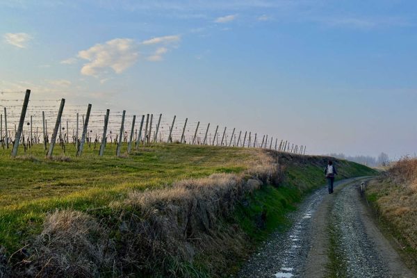 Percorso Cammino delle Colline Novaresi con il cane